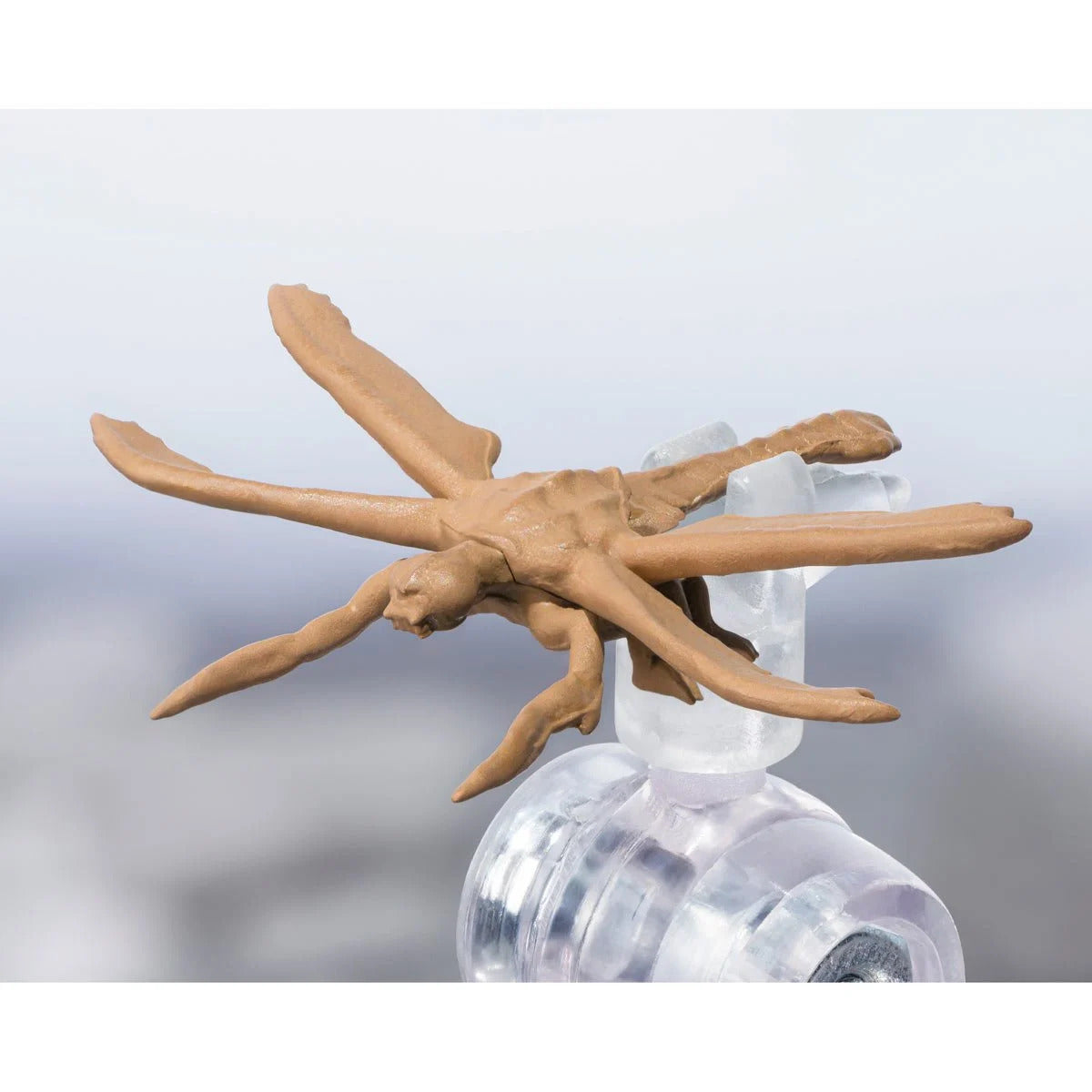 Megaguirus Evolution Set S.H.MonsterArts Action Figure