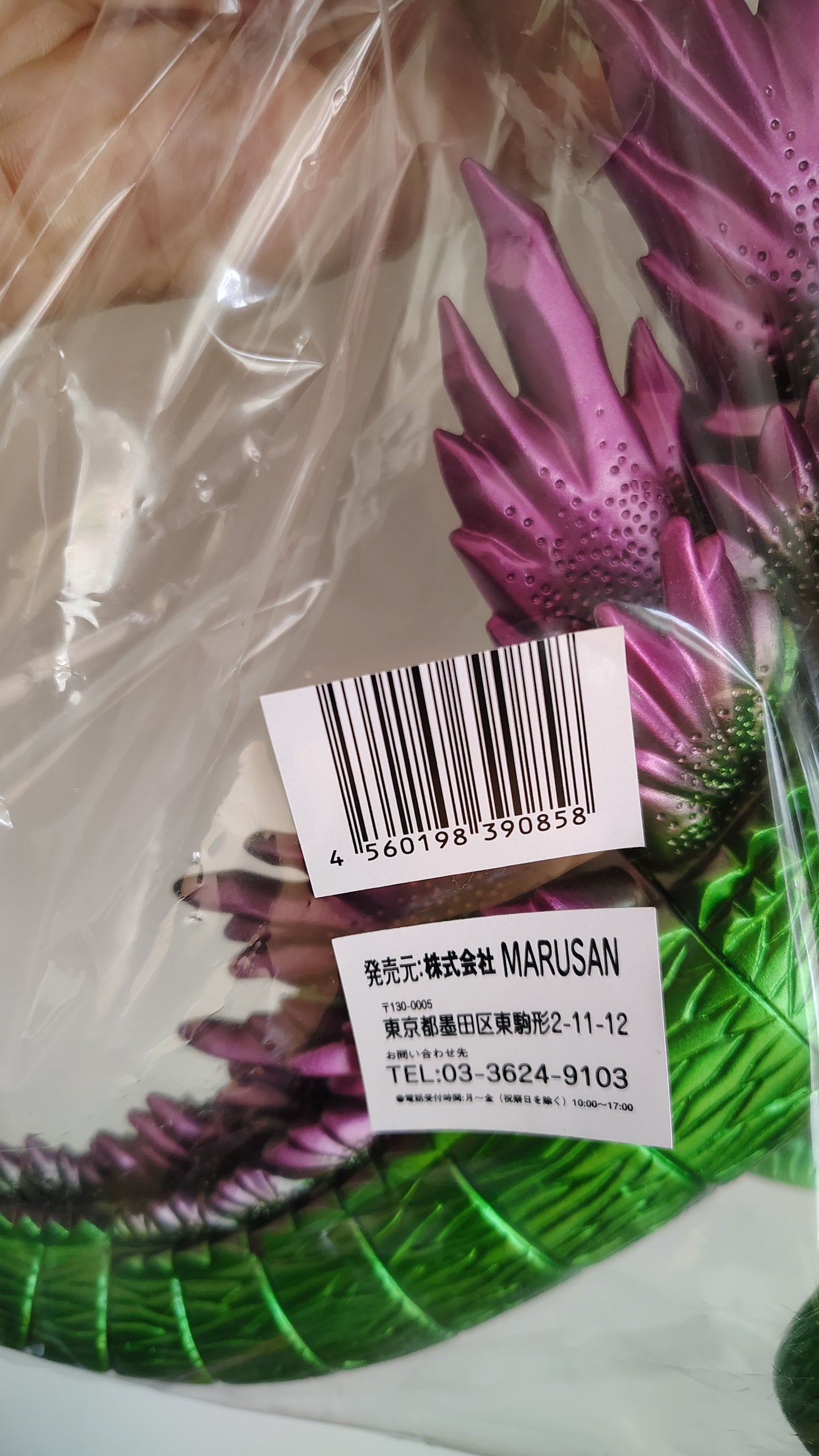 Godzilla Millennium Seiki no Daikaiju Rare Exclusive